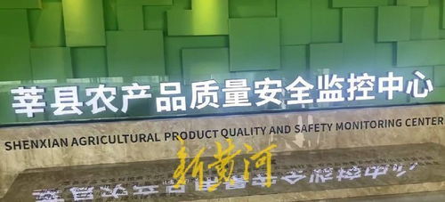 高瞰山東打卡聊城 莘縣蔬菜瓜果安全無憂，網(wǎng)絡(luò)安全軟件開發(fā)保障數(shù)字生活